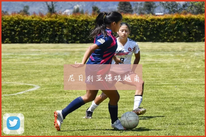 尼日利亚强碰越南