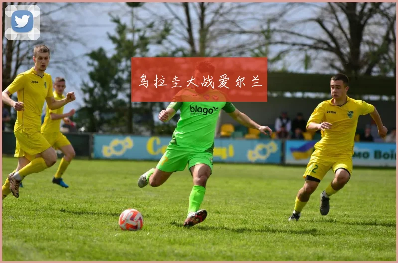 乌拉圭大战爱尔兰