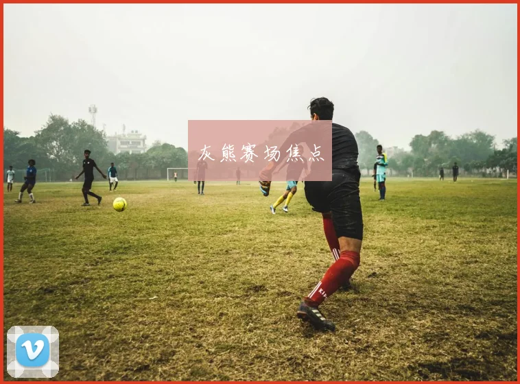 灰熊赛场焦点