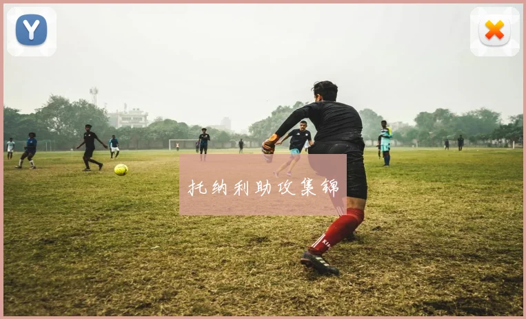 托纳利助攻集锦