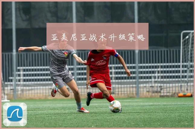 亚美尼亚战术升级策略