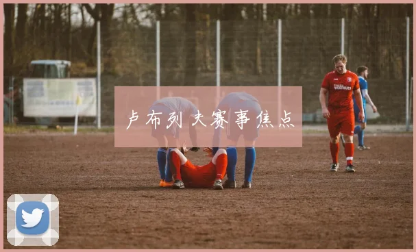 卢布列夫赛事焦点