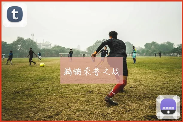 鹈鹕荣誉之战