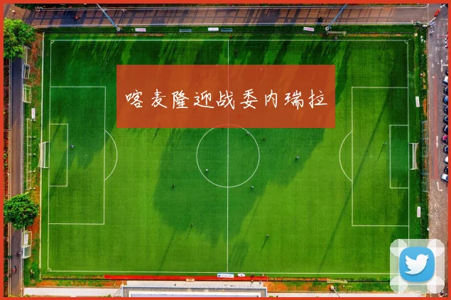 喀麦隆迎战委内瑞拉
