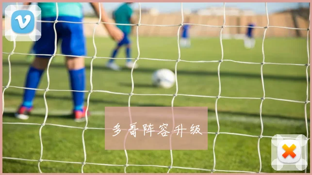 多哥阵容升级