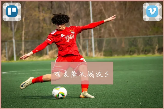喀麦隆决战波兰