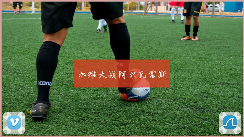 加维大战阿尔瓦雷斯